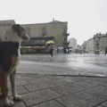 Prognoza vremena za utorak, 15. septembar: Oblačno sa lokalnom kišom