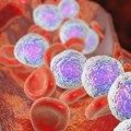 Udruženje LIPA: Oboleli od hematoloških maligniteta bez terapija koje spasavaju živote
