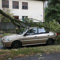 Stabla srušena u oluji, grad Zagreb pokloniće građanima za ogrev