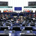 Посланици Европског парламента: Путин је одговоран за смрт Наваљног