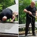 "Što je veća temperatura, one se onda razmnožavaju": Najezda zmija u Srbiji, a samo ove stvari mogu da vas spasu