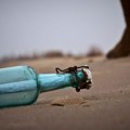У Ирској пронашли љубавно писмо у боци написано у Канади пре 13 година: Оно што су открили је превидно!