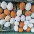 Više od pola miliona jaja iz Srbije uništeno u Severnoj Makedoniji