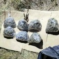 (Foto) Maloletnik osumnjičen da je sakrio drogu u poljani u Nišu, u stanu pronađena i municija