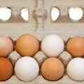 Bela ili smeđa jaja: U zabludi ste ako mislite da boja ljuske otkriva koja su bolja