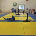 Četrnaest medalja za pirotske šampione