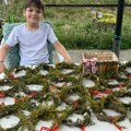 Nasmejani dečak iz Banovaca danas mami poglede svih: Lazar ispleo Ivanjdanske venčiće, pa ih prodaje na ulici