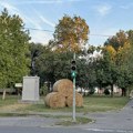 Opozicija traži da se proglasi elementarna nepogoda na teritoriji opštine Žitište