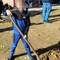 Roditelji i učenici zasadili 105 sadnica: Oš "Mladost" u Novom Beogradu ponosna na niz velikih akcija