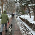 Ko ne očisti sneg i led ispred lokala ili kuće sledi kazna i do 60.000 dinara