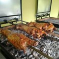 Rast cena prasadi: Evo šta se dešava na tržištu stoke u Sremu i Srbiji