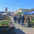 Novosadska cvetna pijaca sutra i u subotu kod Spensa