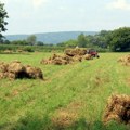 Suša odnosi i više od pola prinosa, a samo 15 odsto njiva u Srbiji je osigurano: Evo koliko košta zaštita