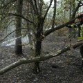 Vlada u tehničkom mandatu usvojila zaključak o planu sanacije Deliblatske peščare, obezbeđeno 40 miliona dinara