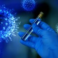 Ima li razloga za strah od kuge? Evo šta kaže šabački infektolog i epidemiolog