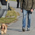 Upravo na Blic TV upravo na blic TV Jedni ostavljaju, drugi udomljavaju - u "Blic dan-u" istražujemo da li je kućni ljubimac…