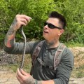 Benjamin uhvatio velikog poskoka! Kad vidite šta radi sa zmijom, naježićete se (video)