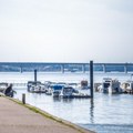 Dunav kod Zemuna gotovo presušio: Labud umesto da pliva hoda kroz vodu