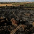 Deliblatska peščara ponovo gori: Požar podivljao, situacija eskalirala zbog jakih vetrova (video)