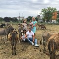Donate €300 towards children’s treatment and get a donkey: Incredible humanitarian gesture by the Džakula family from the…