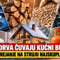 Računica za predstojeću zimu: Gas i drva najpovoljniji, etažno grejanje na struju najskuplje