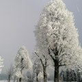 Region pod snegom: Obilne padavine u Sloveniji, u Hrvatskoj zatvoreni putevi