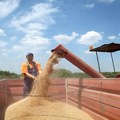 Obnovljena inicijativa za povećanje robnih rezervi u svim sferama: Urgentni otkup 150.000 tona pšenice
