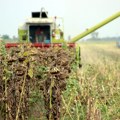 „Tajna“ zabrana izvoza ulja iz Srbije: Poljoprivrednici se bune, Crnogorci da ne brinu