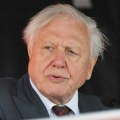 Dejvid Atenboro koji je život posvetio istraživanju i prikazivanju prirode puni 100 godina