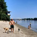 NOVOSAĐANI U MIRNOM OKRUŽENjU NA BEĆARCU Ljubitelji Dunava izdvojeni od gradske buke