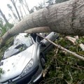 "Drveće je letelo, šuma je nestajala, a dece nije bilo": Minuti kao sati u agoniji superćelijske oluje: Ovo je ispovest…