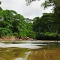 Nelegalni rudari zlata u Amazoniji i dalje se opiru vladinoj akciji iseljavanja
