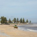 Hiljade mrtvih morskih ptica pronađene na plažama u Australiji, naučnici imaju objašnjenje