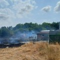 Vatra progutala vinograd u Divostinu, evo šta je izazvalo požar