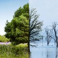 PKS: Ulaganje u kadrove i odgovor na klimatske promene ključni za razvoj privrede