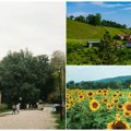 Ispunjen cilj- za četiri godine 4.000 porodice budućnost našle na selu! Država obnavlja ruralna područja: Najviše mladih našlo…