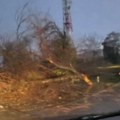 Snažno nevreme oborilo drvo na: Auto-putu Novi Sad - Beograd Saobraćaj obustavljen, stvaraju se ogromni zastoji: Nebo potpuno…