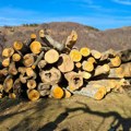 Seča na više od 9 hektara: Dvojac uhapšen zbog pustošenja šuma kod Crne Trave