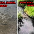 Pusta Reka je mrtva, nema riba, žaba, rakova i nema odgovora nadležnih