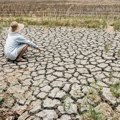 Od buduće klime zavise i cene hrane i troškovi proizvodnje