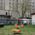 Крагујевац добио први парк за псе