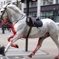 Operisani konji Kraljevske konjičke garde koji su jurili ulicama Londona