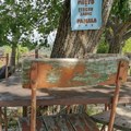 У српским селима и даље постоји "дрво запис": Ту урезују свети крст једном годишње, ево због чега