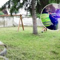 Osuđena vaspitačica iz Vladičinog Hana zbog gušenja dečaka (5): U njenoj smeni detetu stavljen žir u usta
