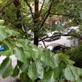 Posle hladnog jutra, oblačno ali suvo - temperatura do 21 stepen