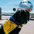 Psi smiruju uplašene ljude na aerodromu u Istanbulu (foto)