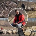 Ima tek 21 godinu i stado od 300 ovaca: Miloš je na padinama Fruške gore stvorio čudo (video)