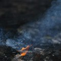 Zaustavljeno širenje velikog šumskog požara u Francuskoj