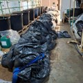 Šestorici pritvor do 30 dana: Osumnjičeni za proizvodnju marihuane u ilegalnoj laboratoriji kod Smedereva (foto/video)