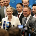 Koja etiketa bolje pristaje stranci AfD?